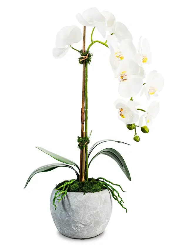 Victoria Ceramic Real Touch Orchid - Grey