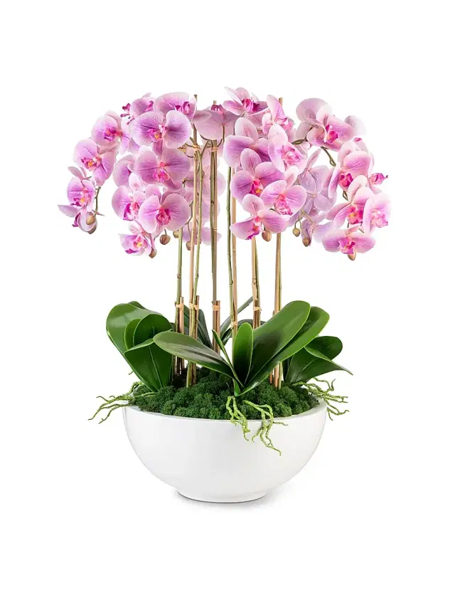 Jetta Oversized Real Touch Orchid Arrangement - Fuschia
