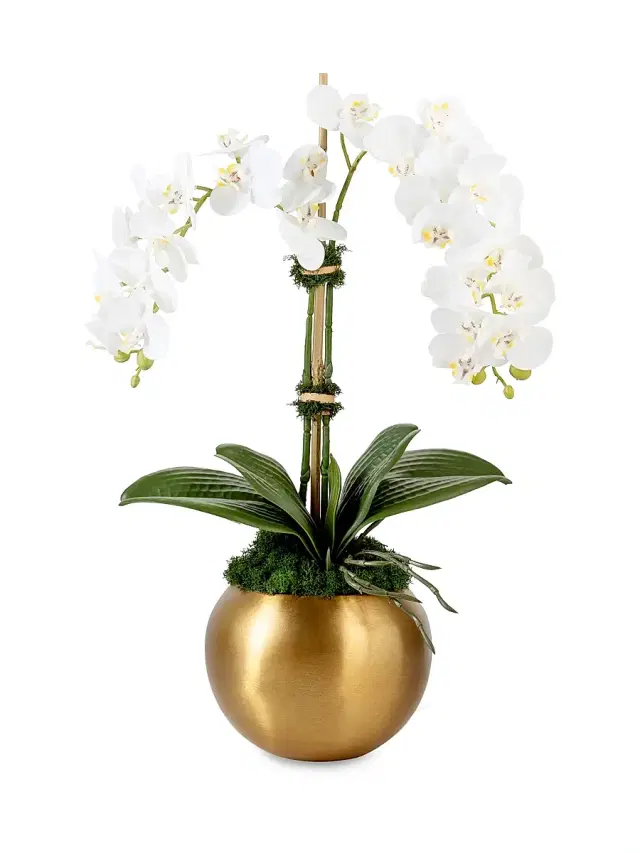 Adeline Gold RealTouch Orchid - Snow