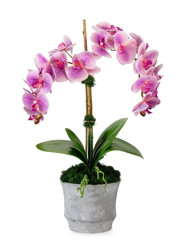 Rosalyn RealTouch Orchid - Periwinkle
