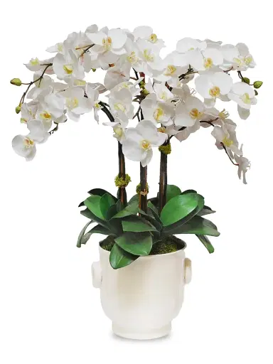 Winward Home Everyday Floral Imitation Phalaenopsis In Ceramic Cache Pot | Thumbnail 1