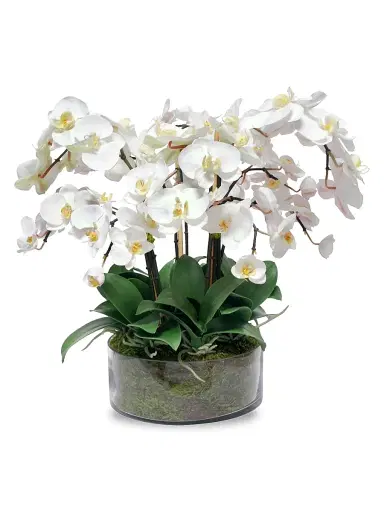 Winward Home Everyday Floral Imitation Phalaenopsis In Ceramic Vase | Thumbnail 1