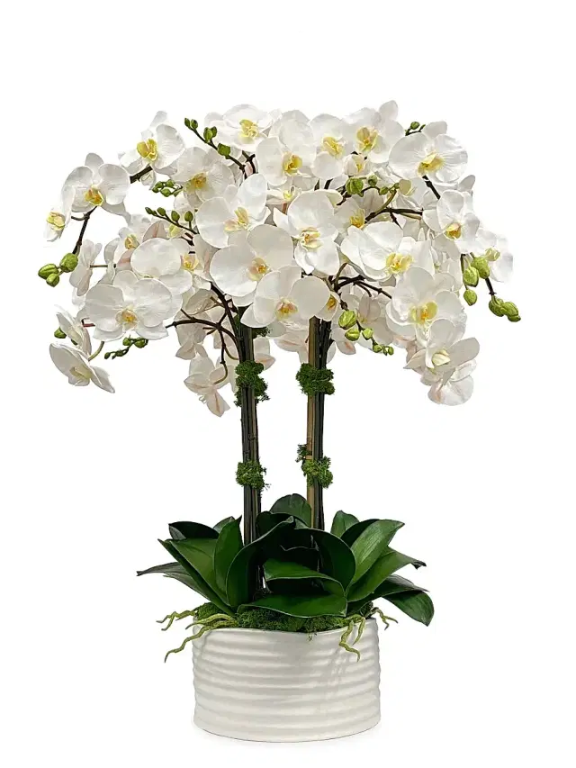 Winward Home Faux Orchid Urban Coil Planter - White