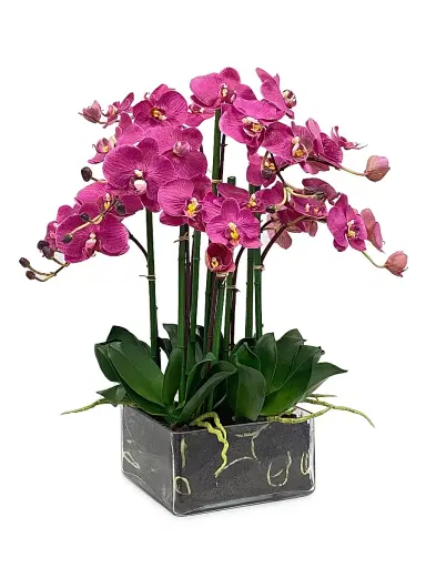 Winward Home Faux Floral Phalaenopsis in Square Vase | Thumbnail 1