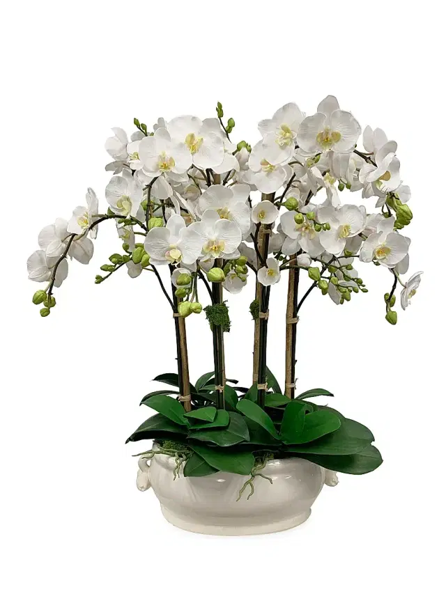 Winward Home Faux Orchid Cache Pot - White