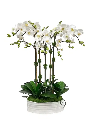 Winward Home Faux Phalaenopsis Floral Arrangement | Thumbnail 1