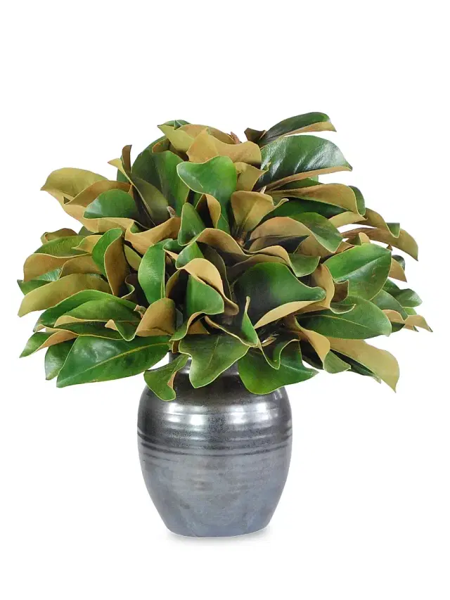 Winward Home Everyday Floral Imitation Magnolia In Crete Pot