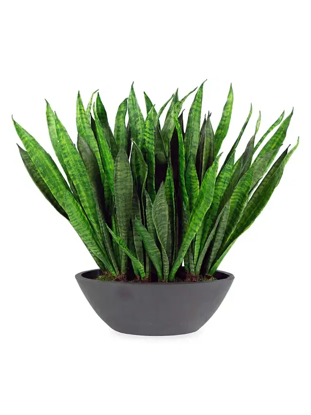 Winward Home Everyday Floral Imitation Sansevieria In Oval Planter