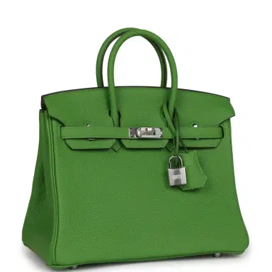 HERMÈS Hermes Birkin 25 Vert Yucca Togo Palladium Hardware | Thumbnail 2 HERMÈS Hermes Birkin 25 Vert Yucca Togo Palladium Hardware | Thumbnail 2