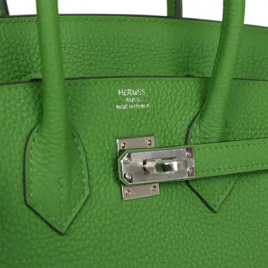 HERMÈS Hermes Birkin 25 Vert Yucca Togo Palladium Hardware | Thumbnail 7 HERMÈS Hermes Birkin 25 Vert Yucca Togo Palladium Hardware | Thumbnail 7