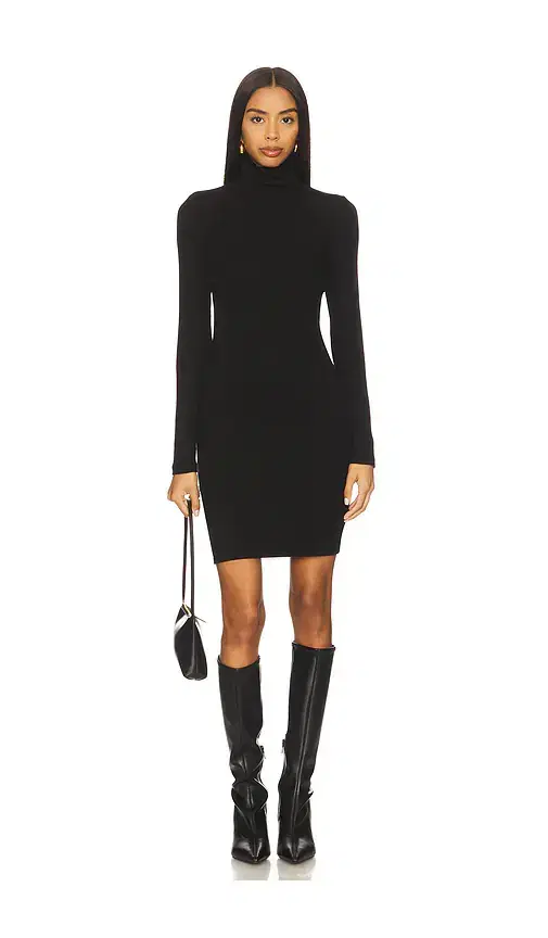 Turtleneck Mini Dress