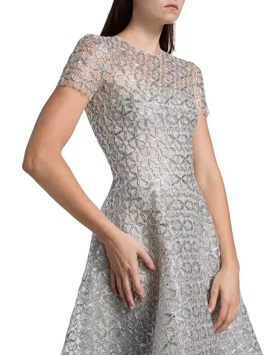 Naeem Khan Women's Metallic Floral Embroidered Short-Sleeve Gown - Silver | Thumbnail 6