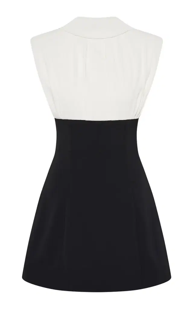 Dion Pleated Mini Dress