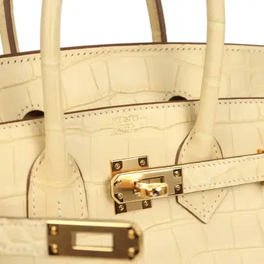 HERMÈS Hermes Birkin 25 Vanille Matte Alligator Gold Hardware | Thumbnail 7