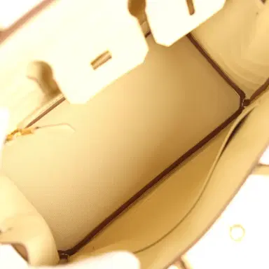 HERMÈS Hermes Birkin 25 Vanille Matte Alligator Gold Hardware | Thumbnail 8