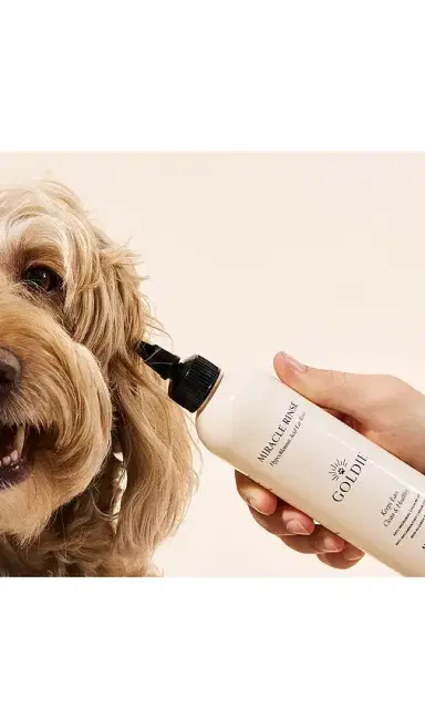 Goldie Dog Essentials Miracle Rinse | Thumbnail 2 Goldie Dog Essentials Miracle Rinse | Thumbnail 2