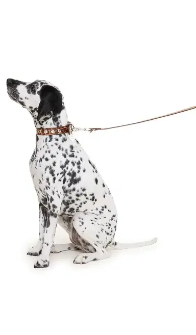 Little Beast Cougar Flower Power Leash | Thumbnail 2 Little Beast Cougar Flower Power Leash | Thumbnail 2