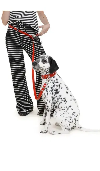 Little Beast Ruby Flower Power Leash | Thumbnail 2 Little Beast Ruby Flower Power Leash | Thumbnail 2