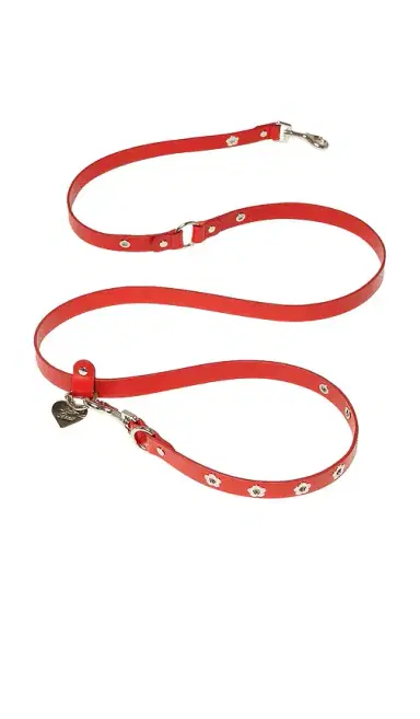 Little Beast Ruby Flower Power Leash | Thumbnail 1 Little Beast Ruby Flower Power Leash | Thumbnail 1