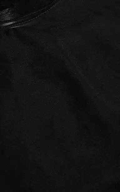 Brandon Maxwell The Cali Tie-Neck Silk-Organza Blouse | Thumbnail 6 Brandon Maxwell The Cali Tie-Neck Silk-Organza Blouse | Thumbnail 6
