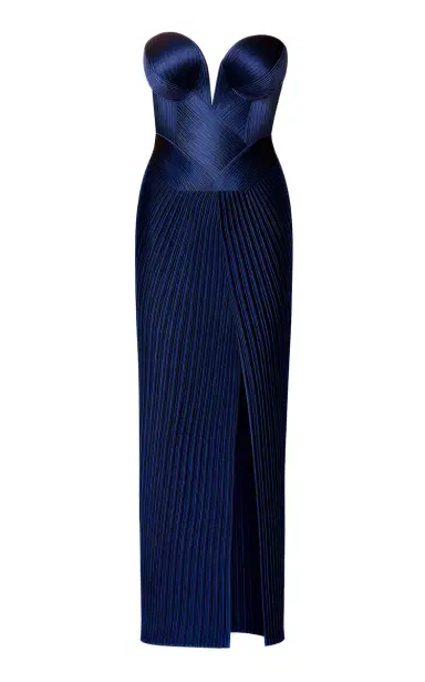 SemSem Engineered Plissé Bustier Maxi Dress | Thumbnail 4