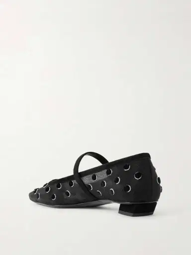 Roger Vivier Belle Vivier 25 Embellished Flocked Mesh Mary Jane Ballet Flats | Thumbnail 3