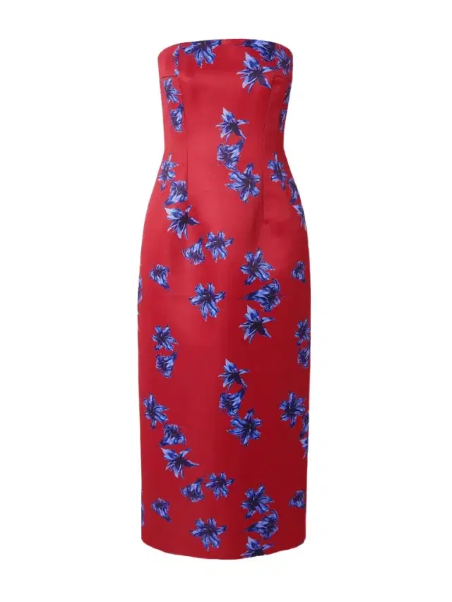 Leila Strapless Floral-print Faille Midi Dress