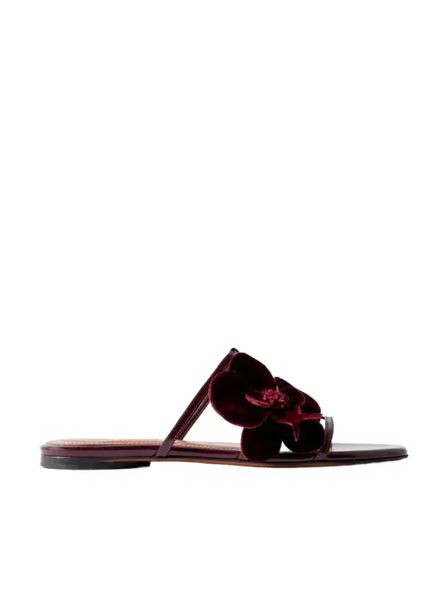 Orchid Appliquéd Velvet-trimmed Glossed-leather Slides