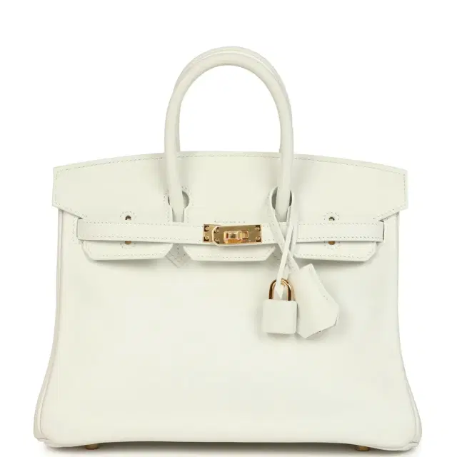 hermes Hermes Birkin 25 New White Swift Gold Hardware