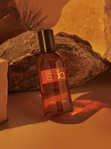 Czech & Speake Spanish Cedar Eau de Parfum | Thumbnail 3 Czech & Speake Spanish Cedar Eau de Parfum | Thumbnail 3