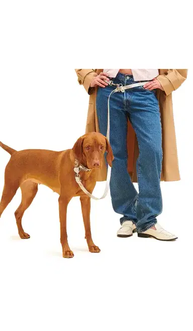 Little Beast You Mean The World To Me Leash | Thumbnail 2