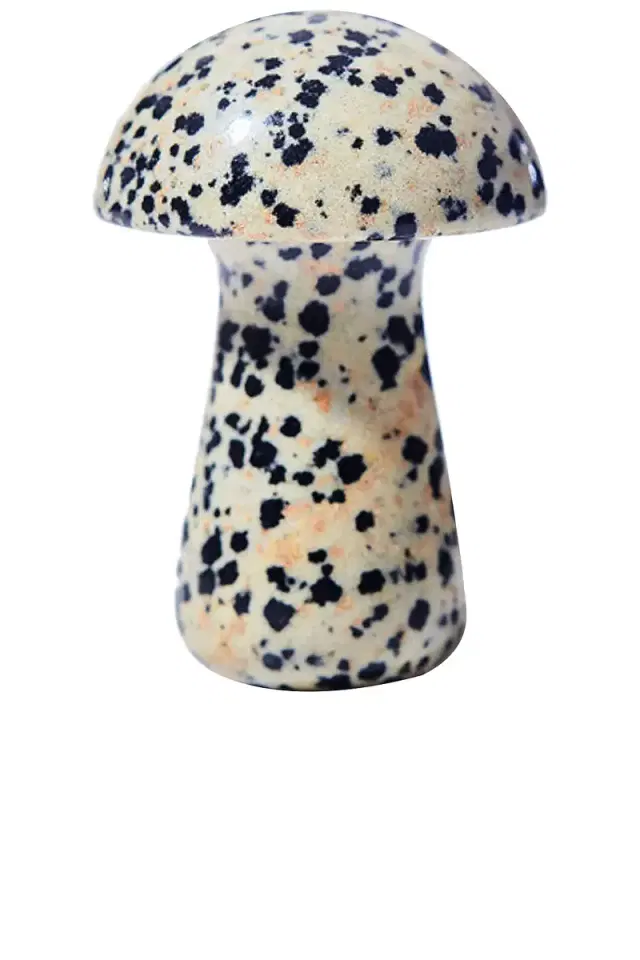 Herbar Gua Shroom