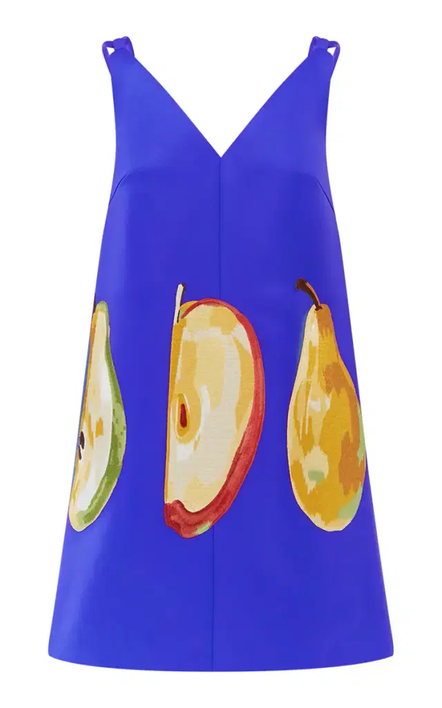 Taylor Embroidered Mini Dress