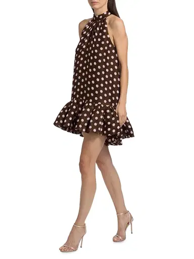 Cara Cara Women's Arca Polka Dot Linen-Silk Tent Minidress - Joelle Dot Brown - Size Large | Thumbnail 2 Cara Cara Women's Arca Polka Dot Linen-Silk Tent Minidress - Joelle Dot Brown - Size Large | Thumbnail 2