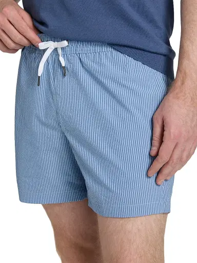 Saks Fifth Avenue Men's Tonal Microstripe Swim Shorts - Storm | Thumbnail 5