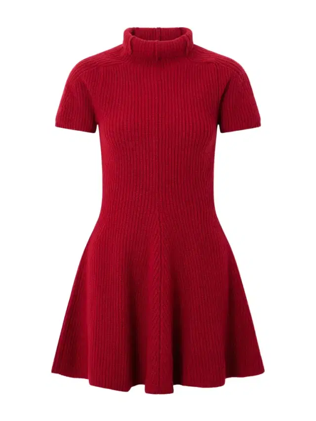 Ribbed Cashmere Turtleneck Mini Dress