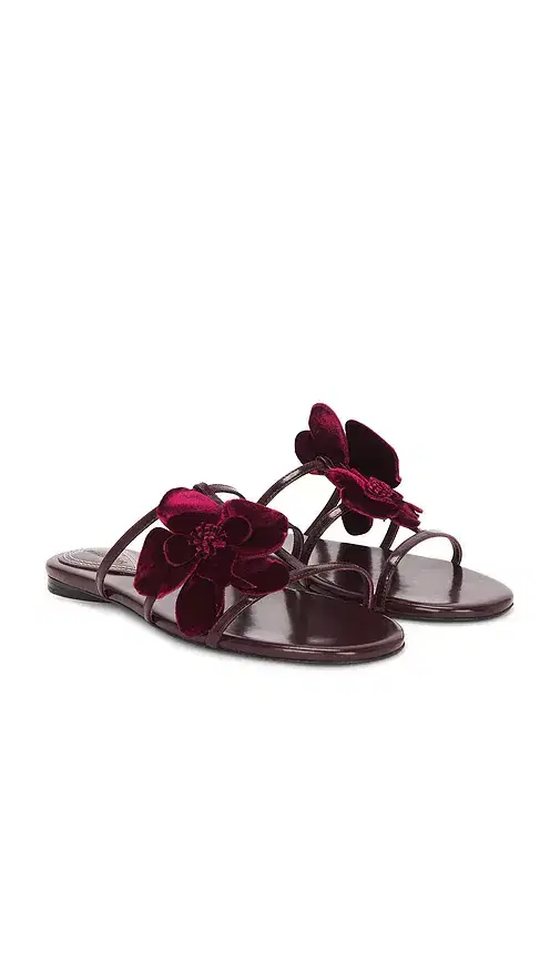 Zimmermann Orchid Slide