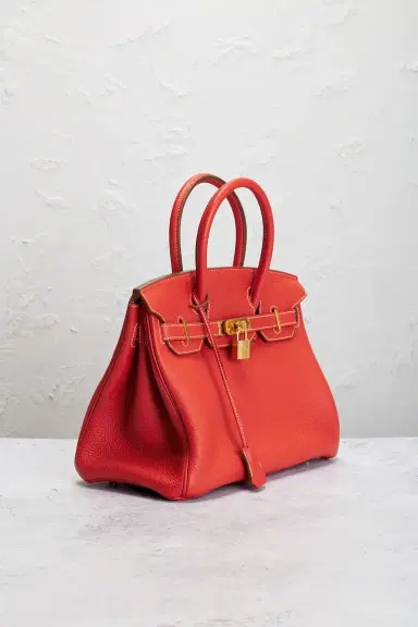 HERMÈS Togo Birkin 30 Handbag | Thumbnail 6