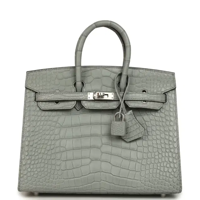 hermes Hermes Birkin Sellier 25 Gris Ciment Matte Alligator Palladium Hardware