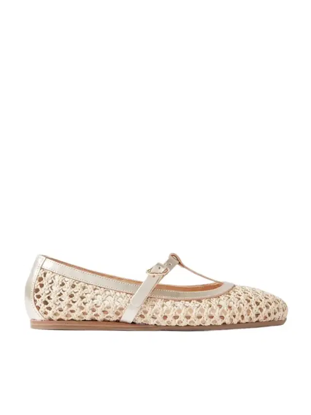 Aerati Metallic Leather-trimmed Woven Raffia Ballet Flats