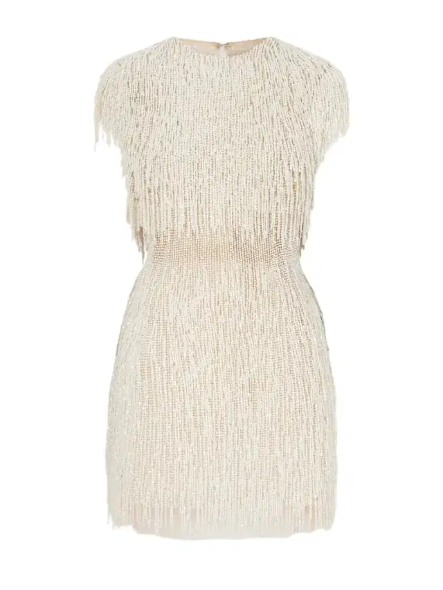 Embellished Fringed Mesh Mini Dress