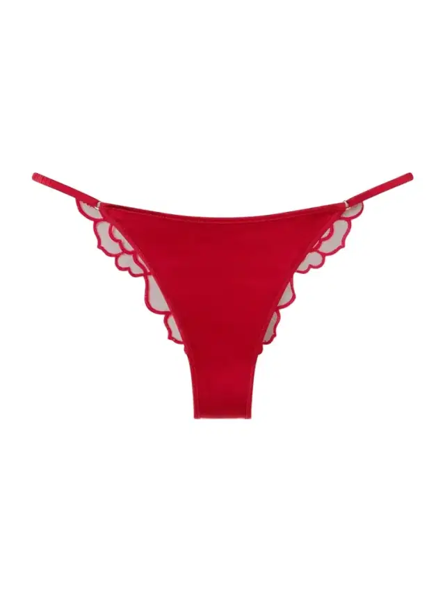 Petite Chou Embroidered Lace Briefs