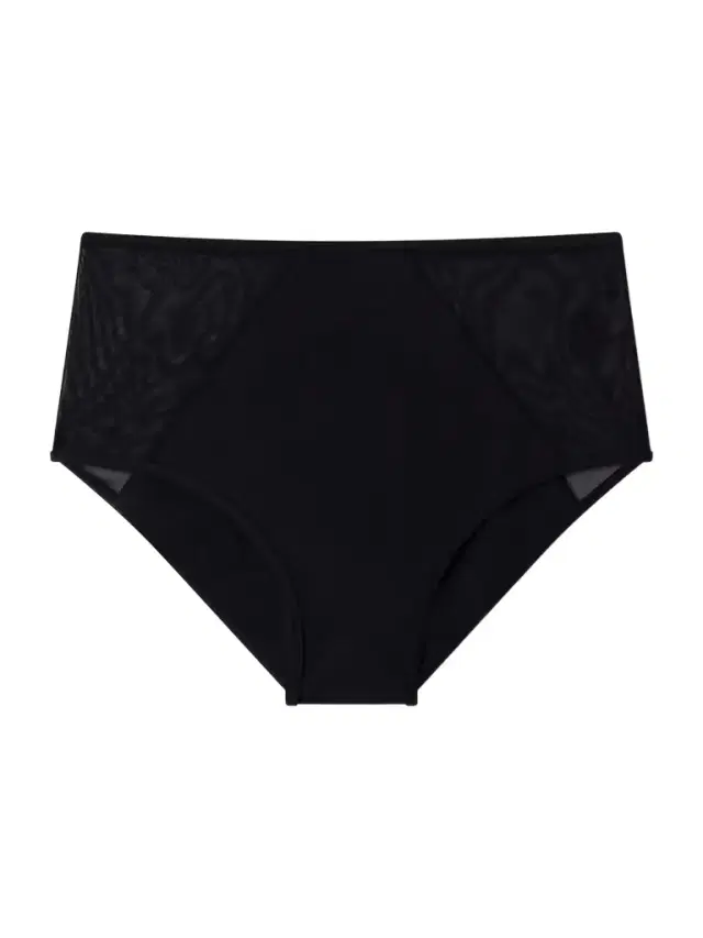 Peep Show Tulle-trimmed Bikini Briefs
