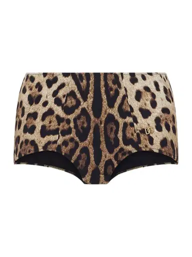 Dolce & Gabbana Leopard-print Bikini Briefs | Thumbnail 1