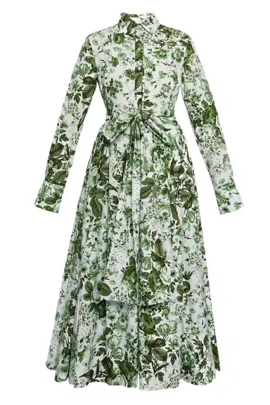 Erdem Leaf Print Long Sleeve Shirt Dress | Thumbnail 1