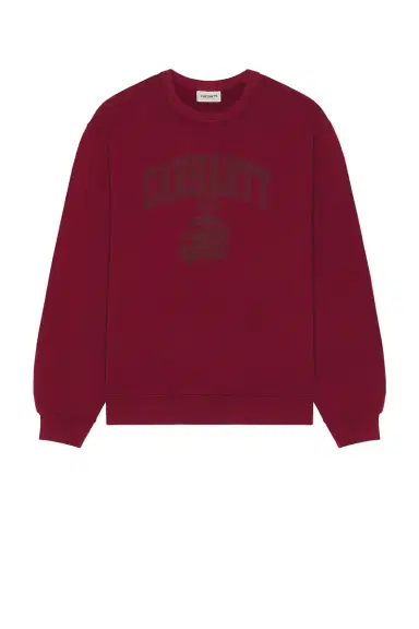 Carhartt WIP Faded Pond Corps Sweatshirt | Thumbnail 4