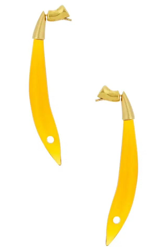Bottega Veneta Drop Earrings