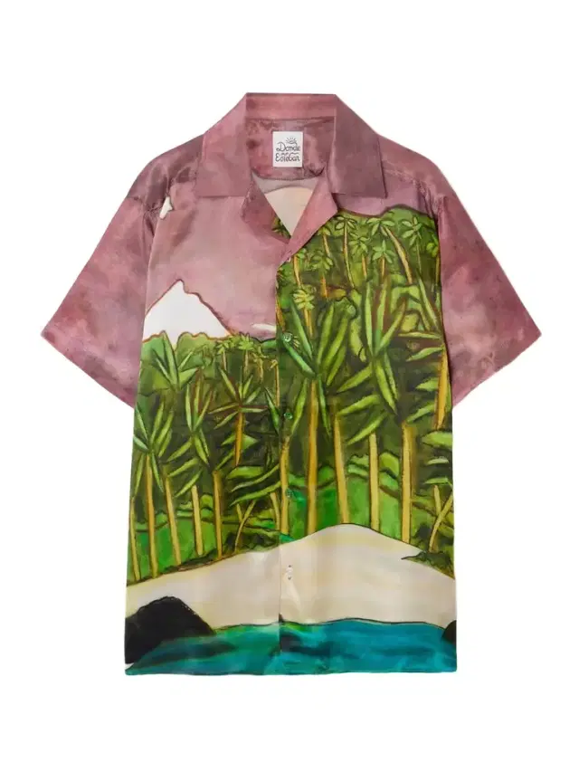 La Sierra Printed Silk-satin Shirt