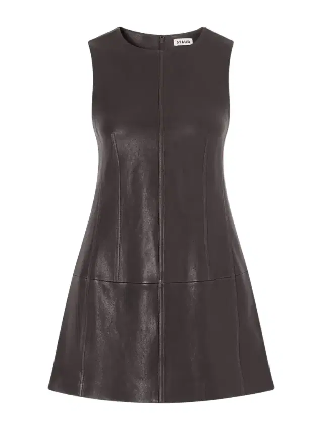 Binx Leather Mini Dress