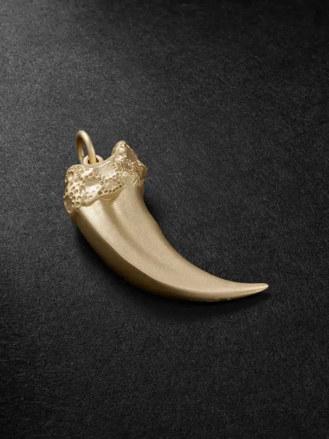 Claw 14-Karat Gold Pendant - Men